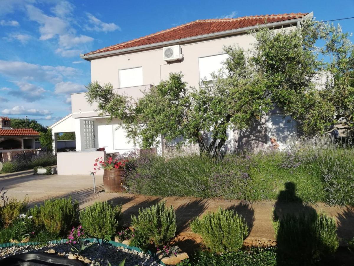 Apartments Zaton Draga מראה חיצוני תמונה