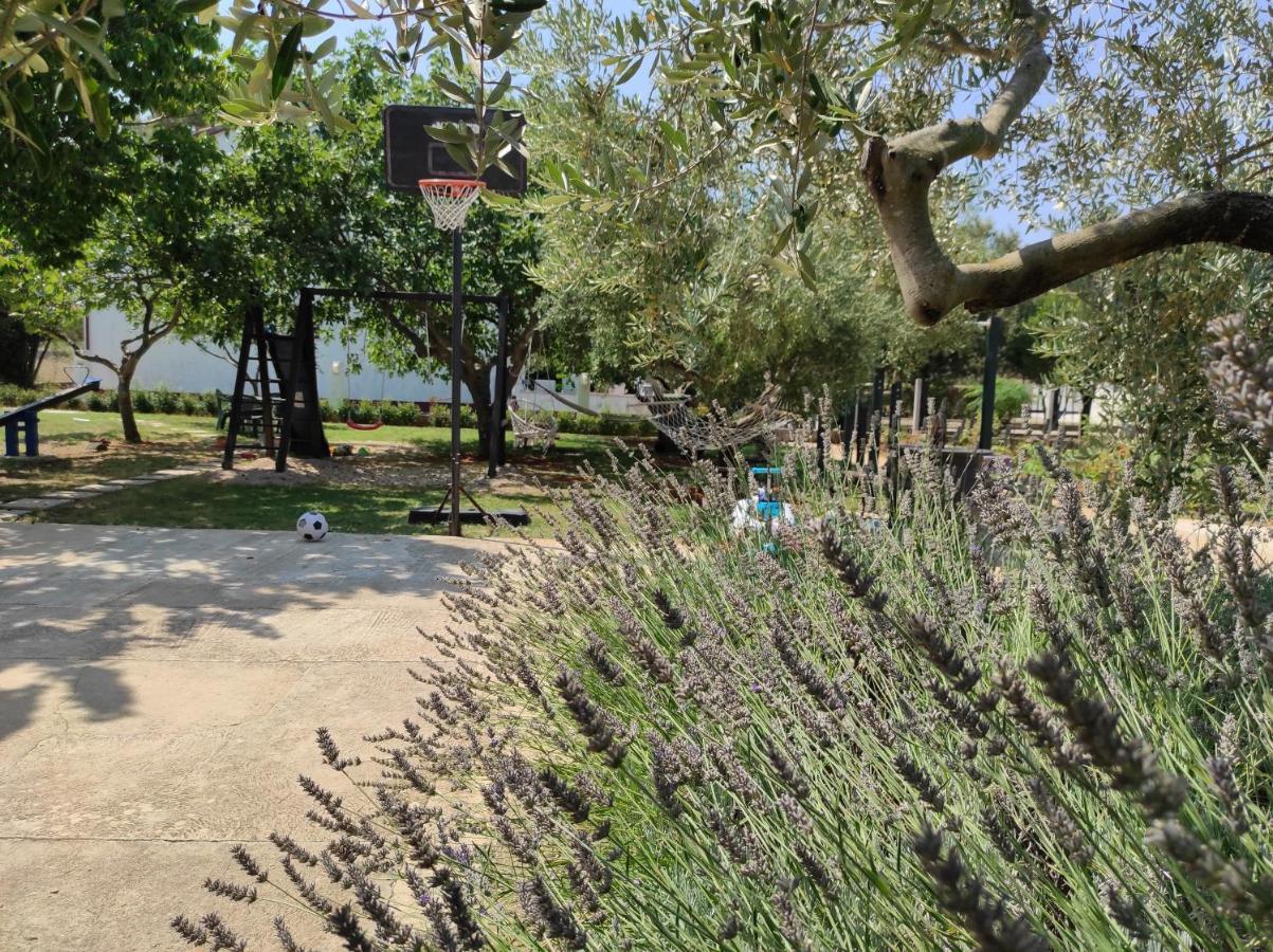 Apartments Zaton Draga מראה חיצוני תמונה