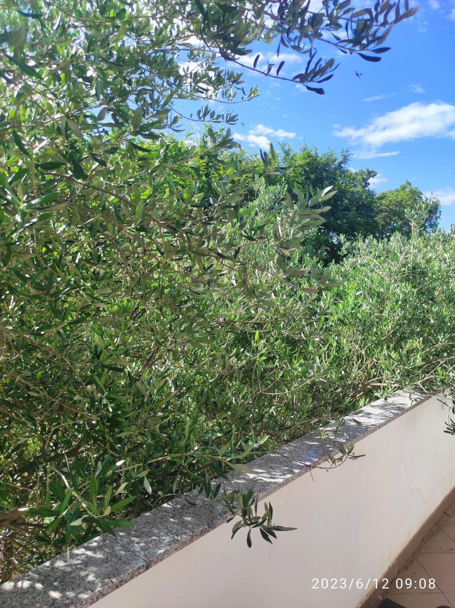 Apartments Zaton Draga מראה חיצוני תמונה