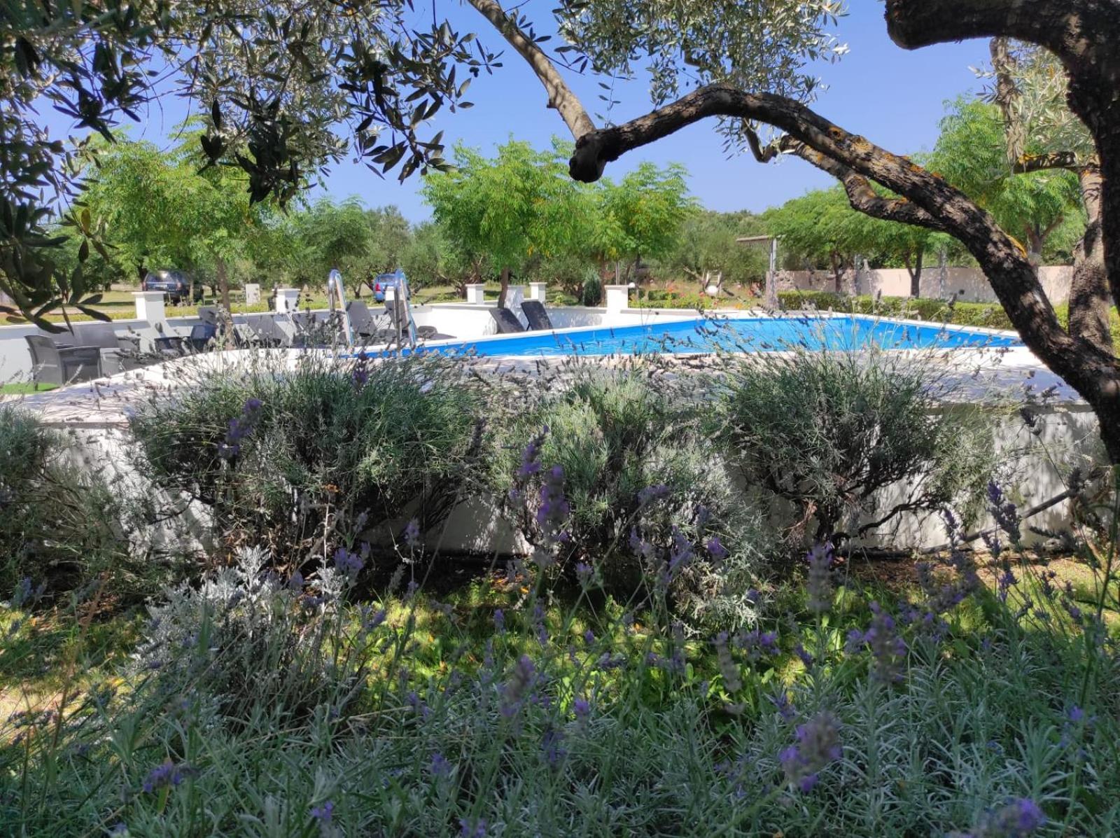 Apartments Zaton Draga מראה חיצוני תמונה