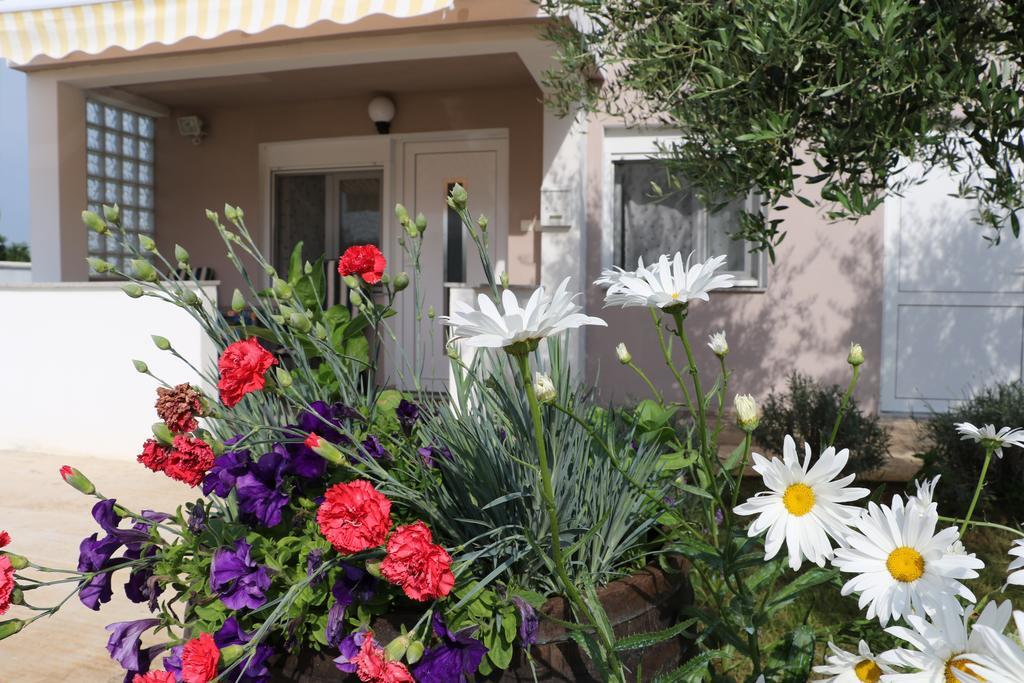 Apartments Zaton Draga מראה חיצוני תמונה