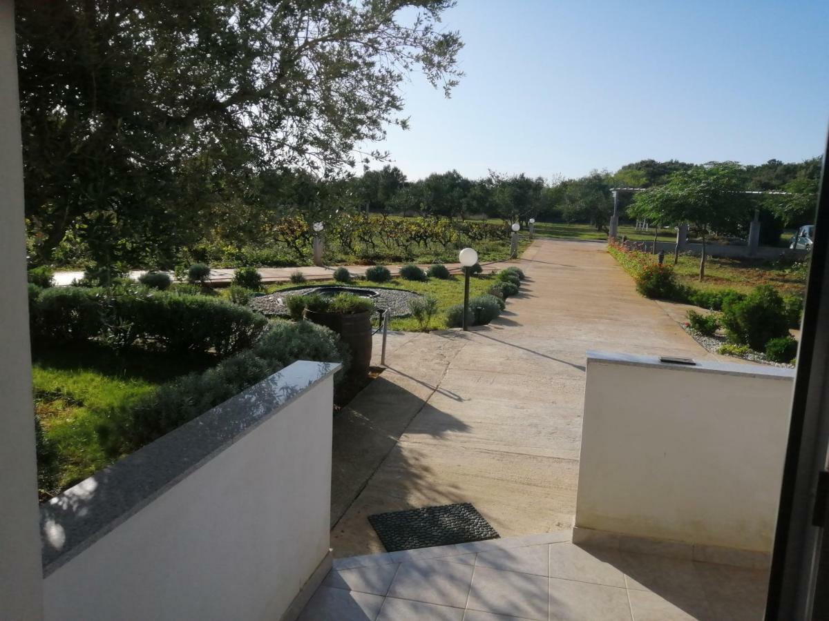 Apartments Zaton Draga מראה חיצוני תמונה