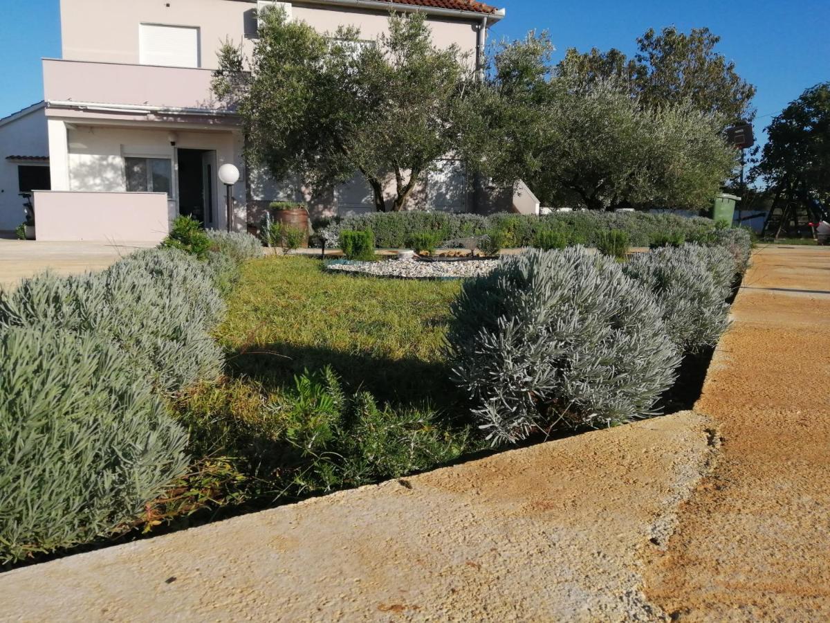Apartments Zaton Draga מראה חיצוני תמונה